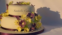 Samtastic Cakes 1080973 Image 1